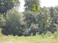 Джурин з panoramio.com