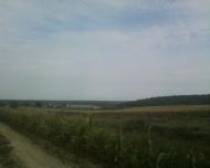 Синява з panoramio.com