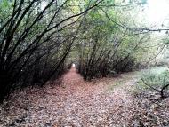 Слобода з panoramio.com