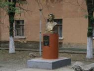 Амурське з panoramio.com