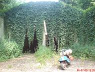 Ретик з panoramio.com