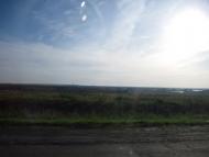 Ройове з panoramio.com