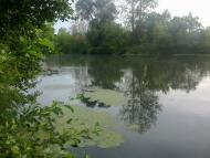 Букине з panoramio.com - Букине