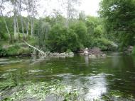 Нові Санжари з panoramio.com