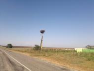 Батальне з panoramio.com