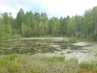 Кушкине з panoramio.com