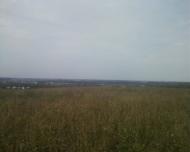 Синява з panoramio.com