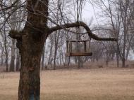 Скалівські Хутори з panoramio.com