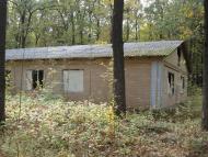 Дзензелівка з panoramio.com - Дзензелівка