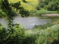 Саранчине з panoramio.com