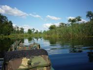 Бучин з panoramio.com