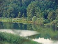 Гнилиця - Останні фото