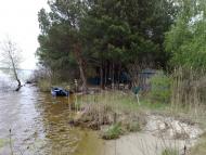 Плюти з panoramio.com