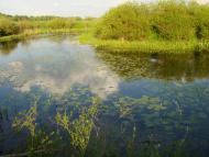 Вариводки з panoramio.com