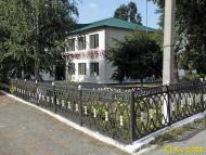 Петриківка з panoramio.com