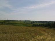 Вариводки з panoramio.com