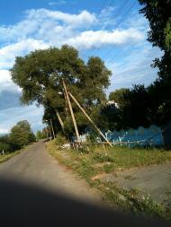 Приворіття з panoramio.com