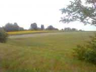 Стави з panoramio.com