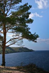 Луковиця з panoramio.com