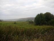 Городище з panoramio.com