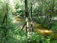 Колесниківка з panoramio.com