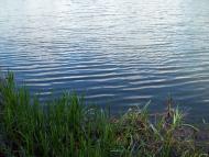 Малечковичі з panoramio.com