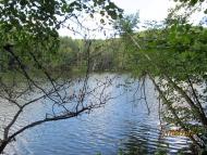 Межиріч з panoramio.com