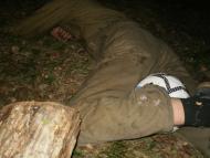 Максимовичі