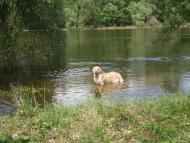 Крехаїв з panoramio.com