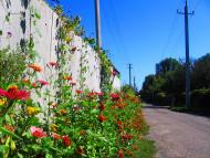 Придніпровське з panoramio.com