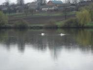 Цигани з panoramio.com