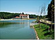 Відники з panoramio.com