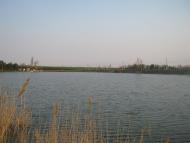 Верхній Токмак з panoramio.com