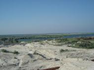 Виноградне з panoramio.com