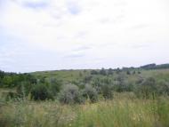 Велика Бабка з panoramio.com