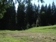 Згари з panoramio.com