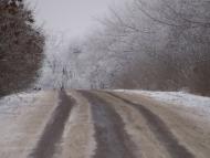 Ковпакове з panoramio.com