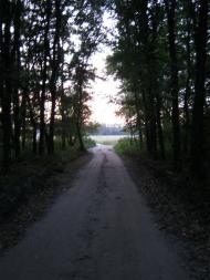 Велика Чернеччина з panoramio.com