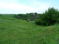 Вовче з panoramio.com