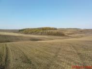 Вариводки з panoramio.com