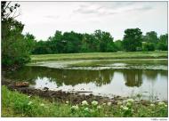 Ставкове - Останні фото