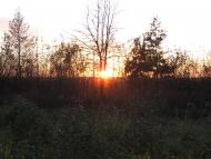 Холоневичі з panoramio.com