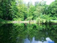 Прокурава з panoramio.com