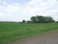 Дерегівка з panoramio.com