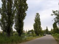 Богданівка - Останні фото