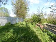 Борсуки з panoramio.com