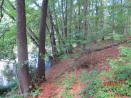 Межиріч з panoramio.com