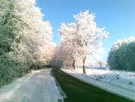 Заболоття з panoramio.com