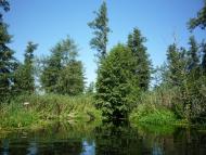 Бучин з panoramio.com