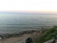 Лозанівка - Останні фото